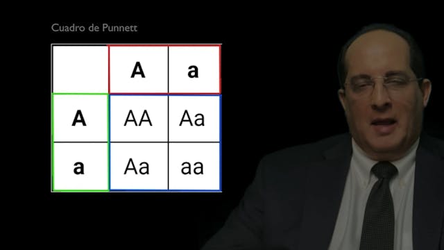 NMV: Temp. 1 Ep. 4 - Cuadro de Punnett