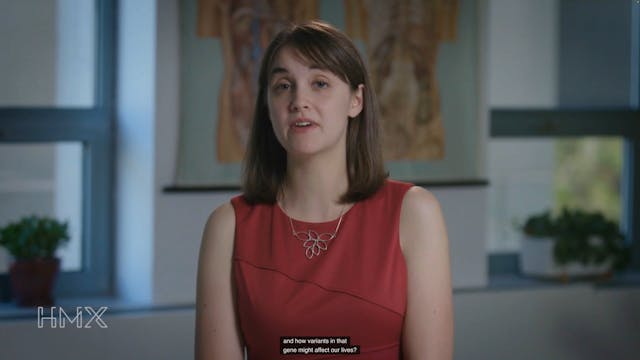 AMIPROGEN Harvard Estudios