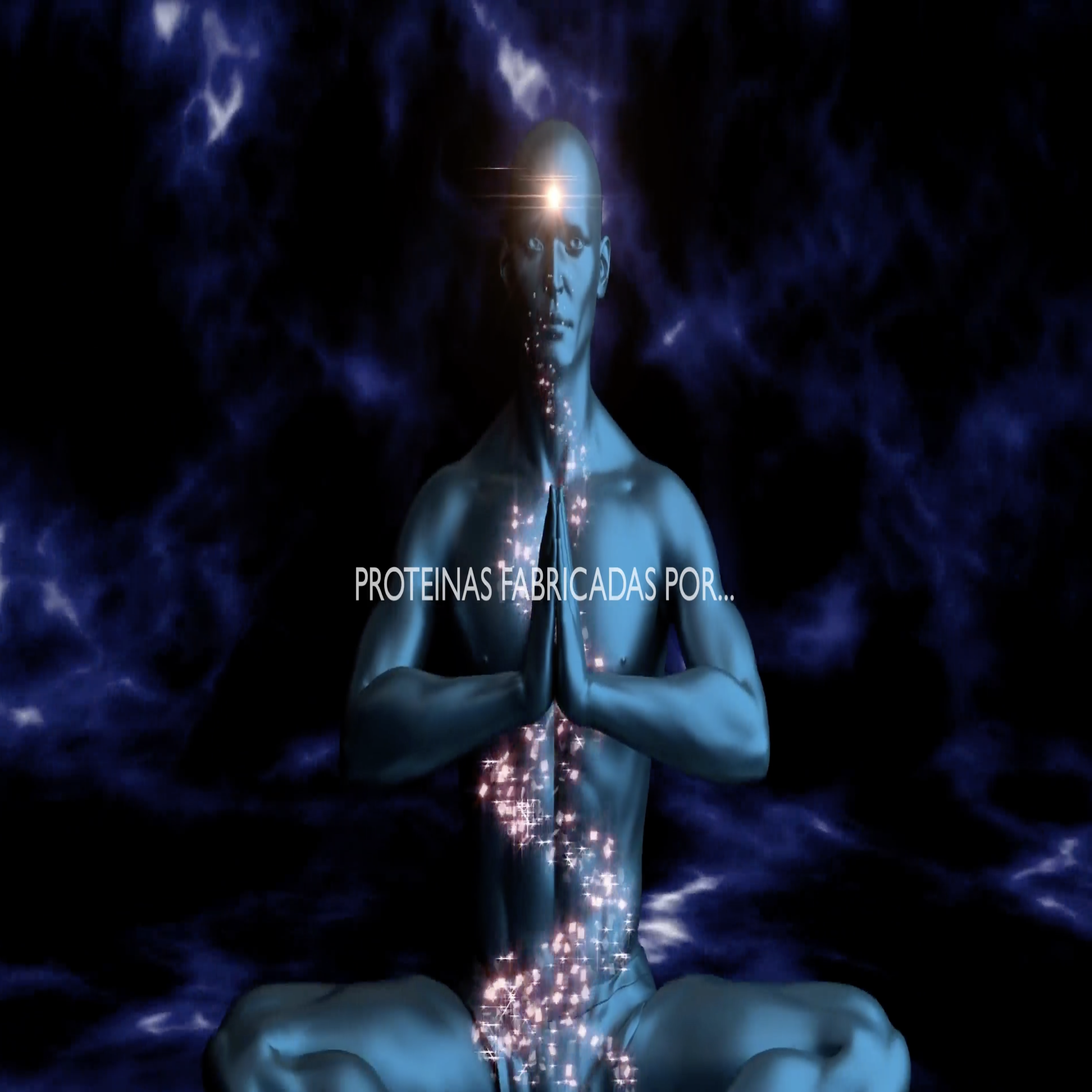 Somos una armazon de proteinas