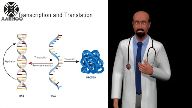#15 ARN y ADN 2