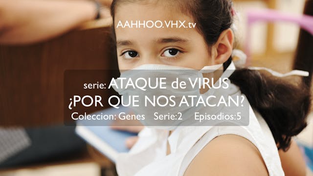 Por que nos atacan los viruses