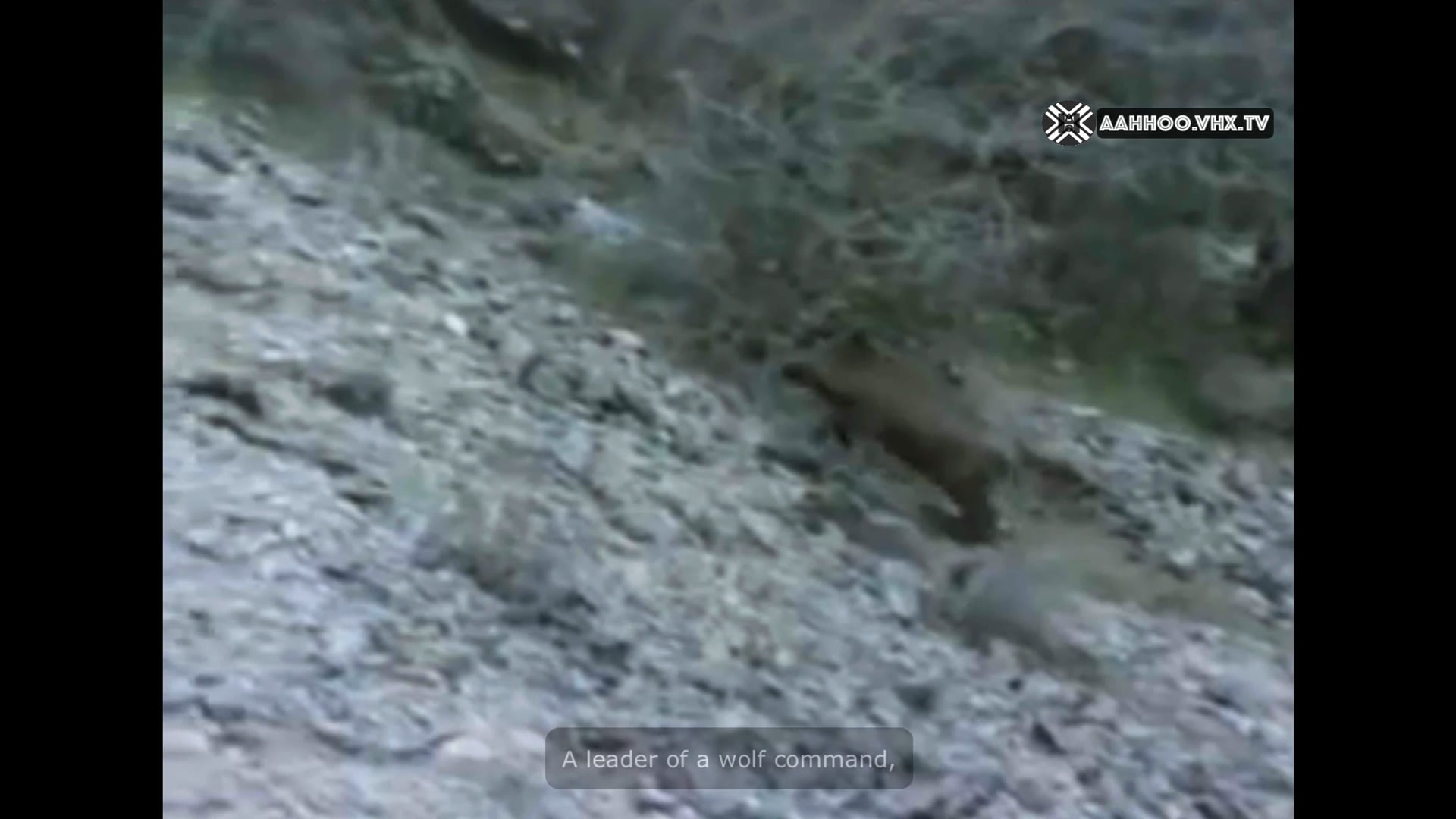 La astucia supera la fuerza