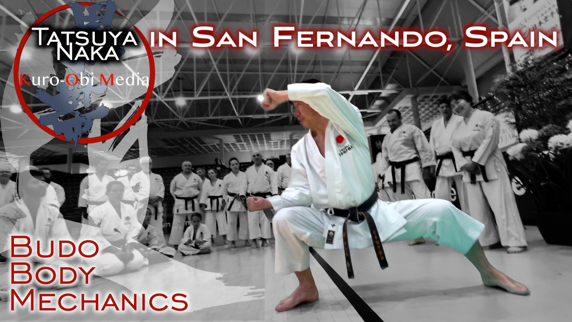 Naka Sensei in Spain