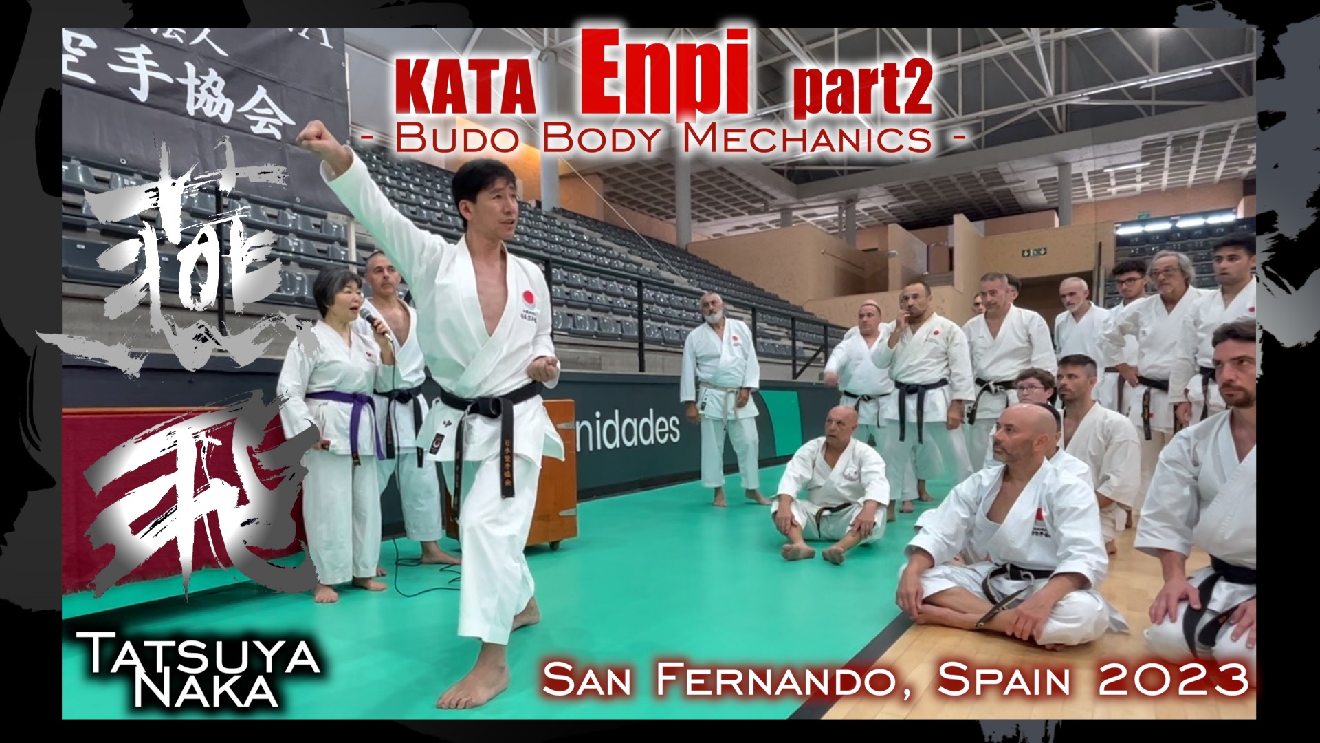 Enpi EP2:  Tatsuya Naka Sensei's Budo Body Mechanics