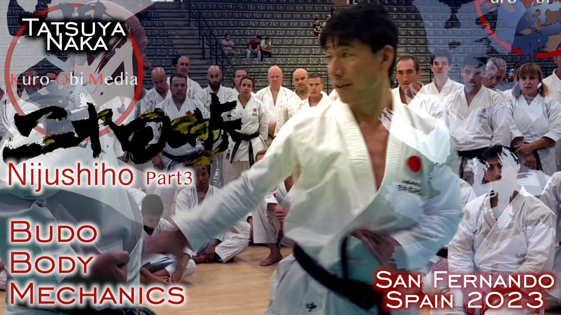 Part 3:  Nijushiho by Naka Tatsuya Sensei in Spain