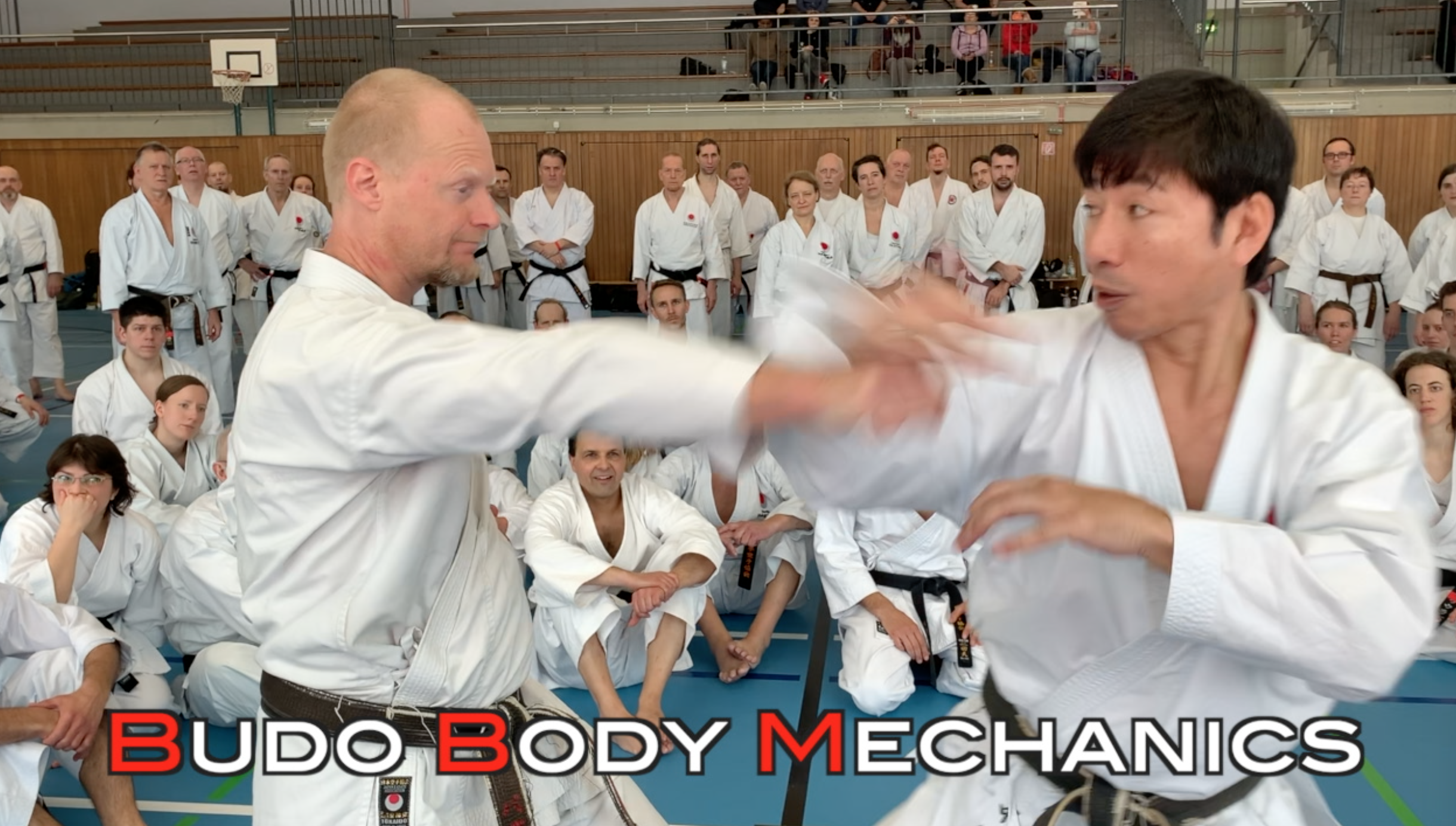Naka Sensei Heian Nidan 2020 in Germany