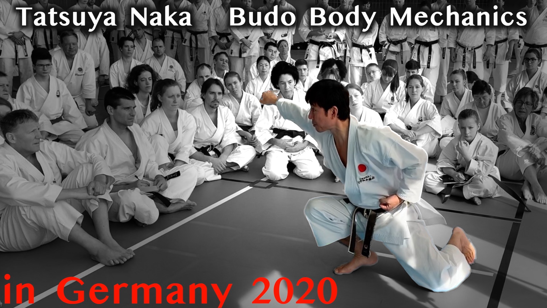Naka Sensei in Germany