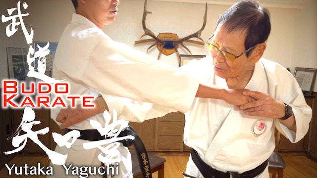 EP1:  "Body Vibration" by the Legend - Budo Karate by Master Yutaka Yaguchi