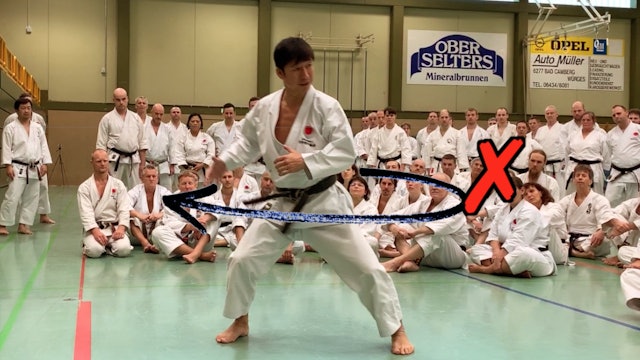 Naka Sensei Kankudai Germany 2020