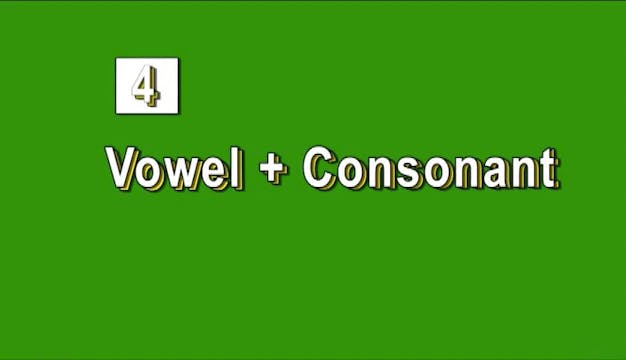 Lesson 4 - Vowel + Consonant