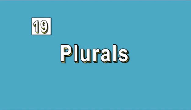 Lesson 19 - Plurals