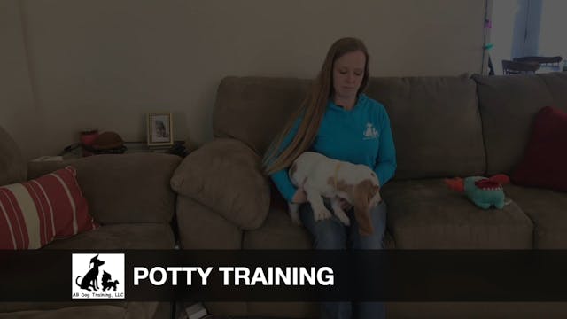 Potty Training