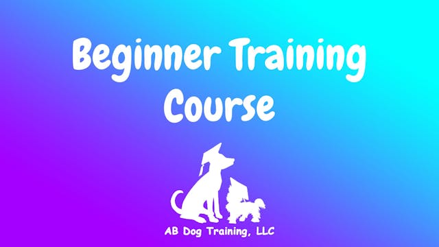 Beginner Dog Training Course