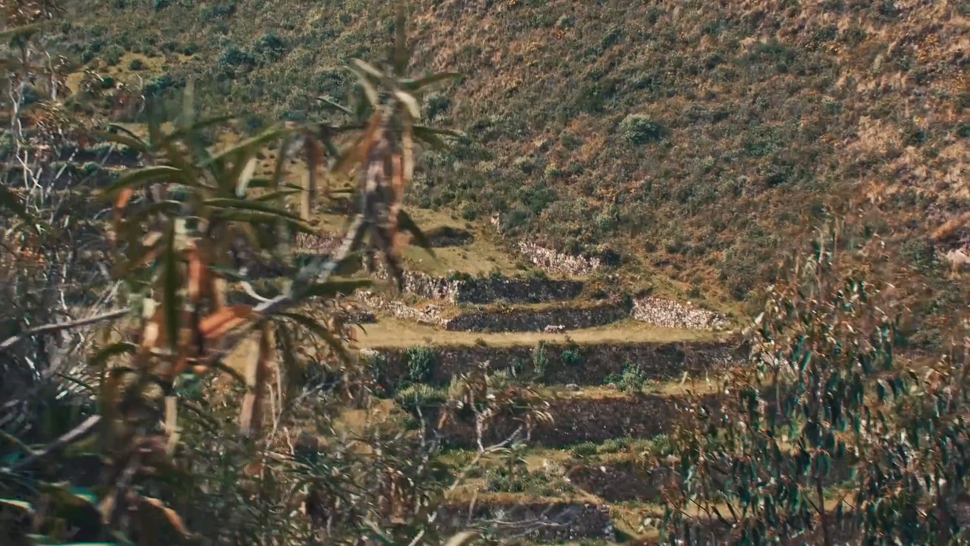 Filming in Peru - Day 2