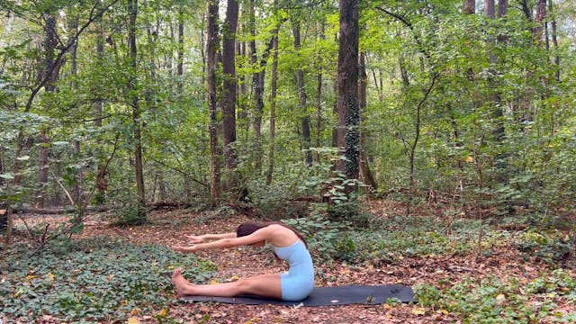 25 minute total beginner flow