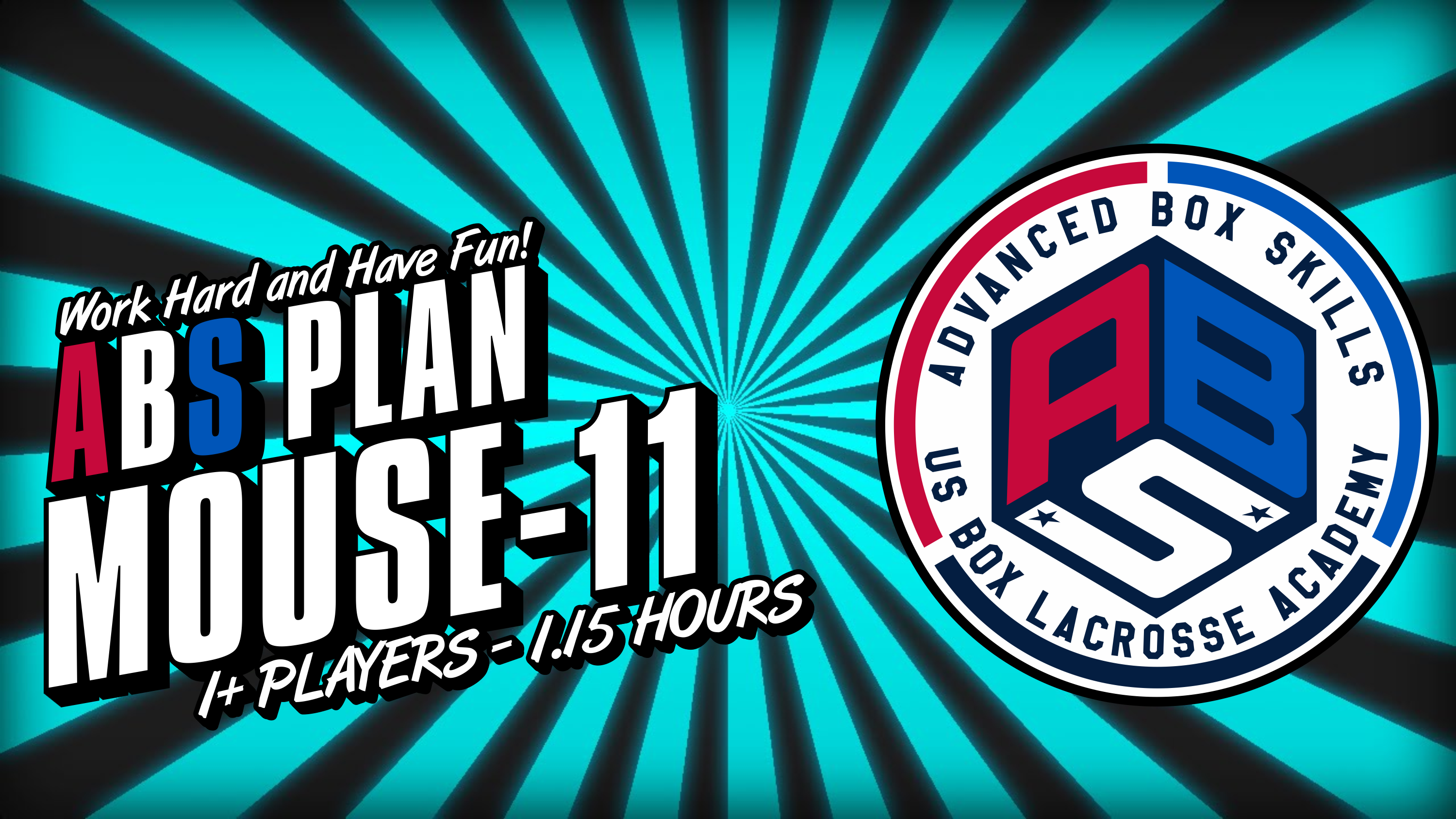 The Mouse11 - Video Companion