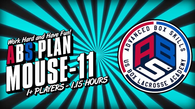 The Mouse11 - Video Companion