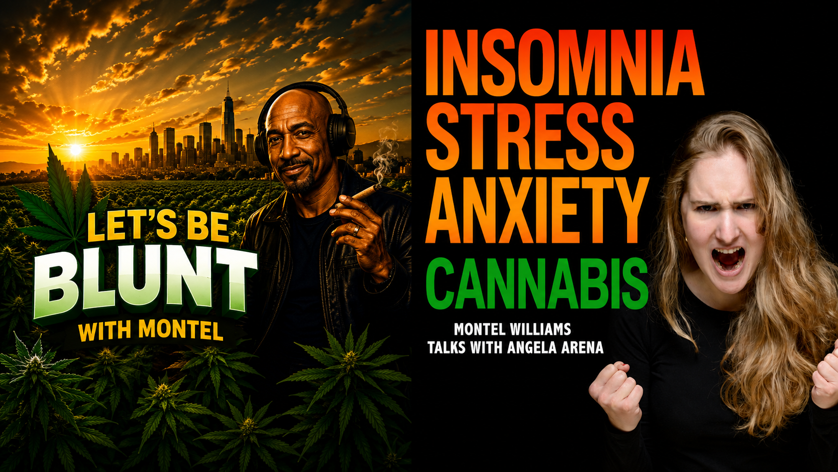 Angela Arena INSOMNIA SOLUTIONS
