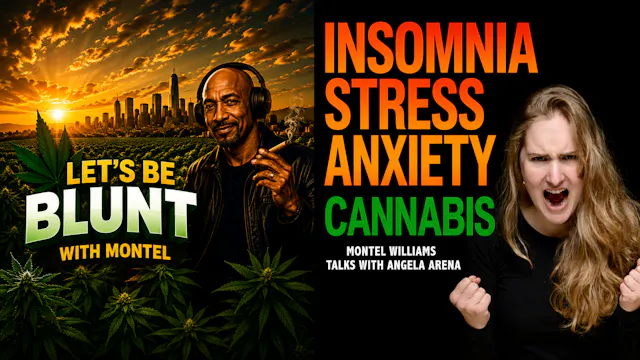 Angela Arena INSOMNIA SOLUTIONS