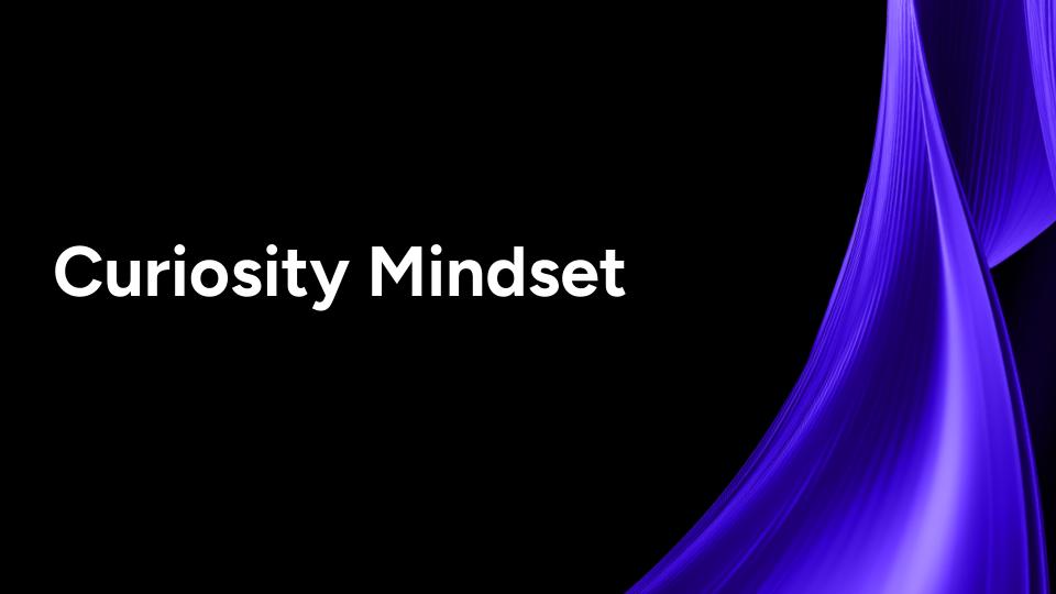 2.9 Curiosity Mindset