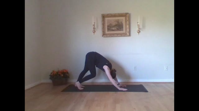 Vintage | VINYASA YOGA | Robin TS #2