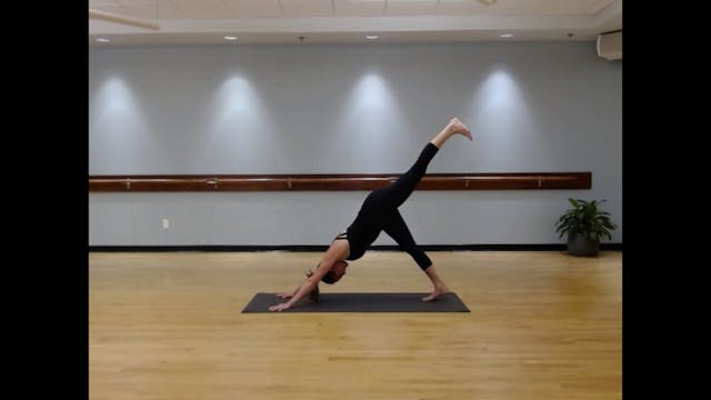 Vintage | VINYASA YOGA :35 | Meg J. #1