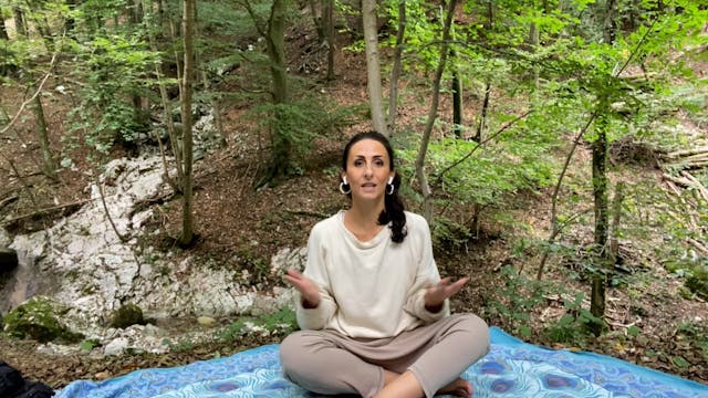 LEZIONE 31 - Meditazione del bosco.
