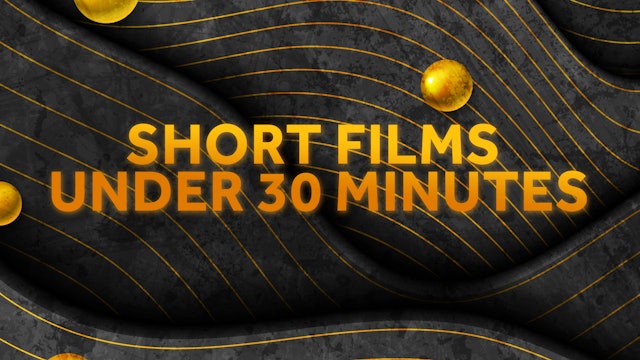 Short Films Under 30 Minutes
