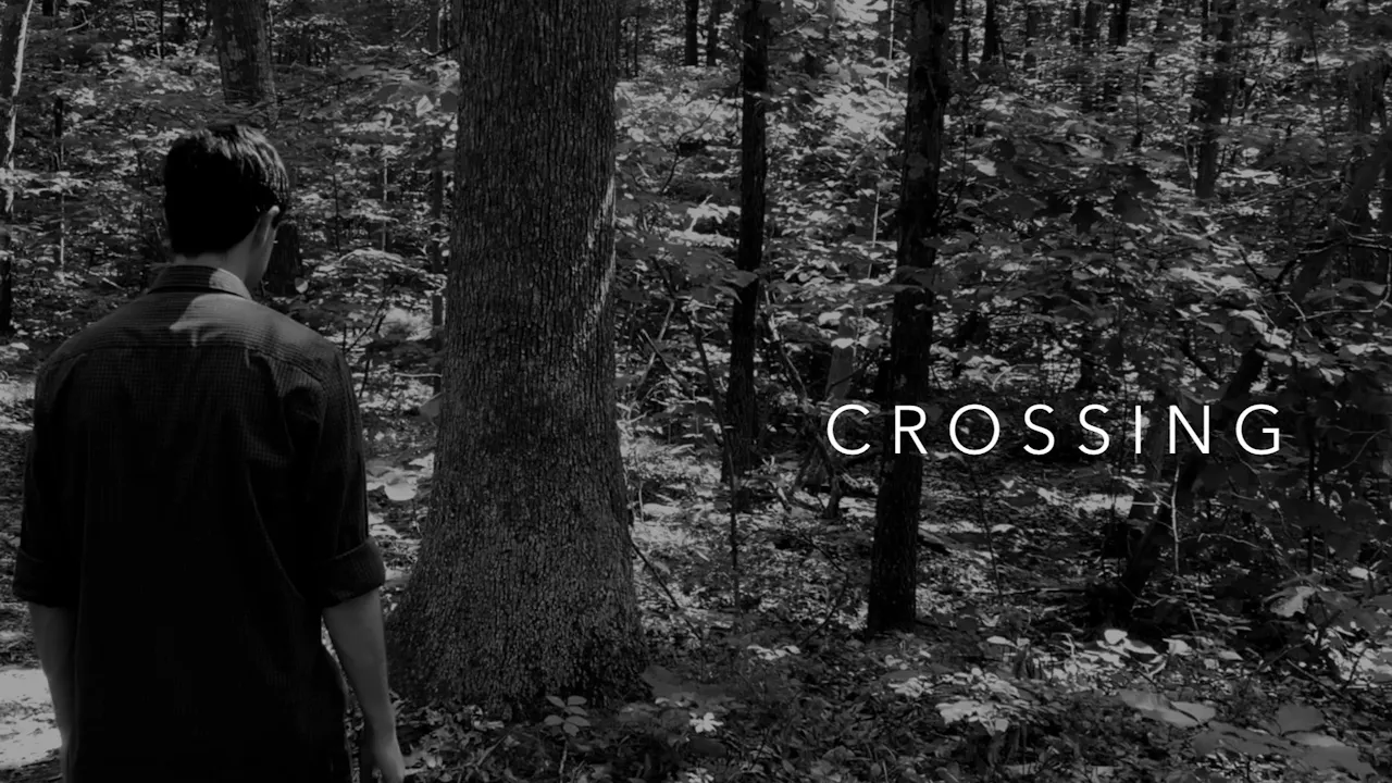 Crossing Trailer Sparrow