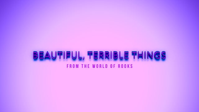 Beautiful, Terrible Things