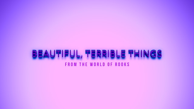 Beautiful, Terrible Things