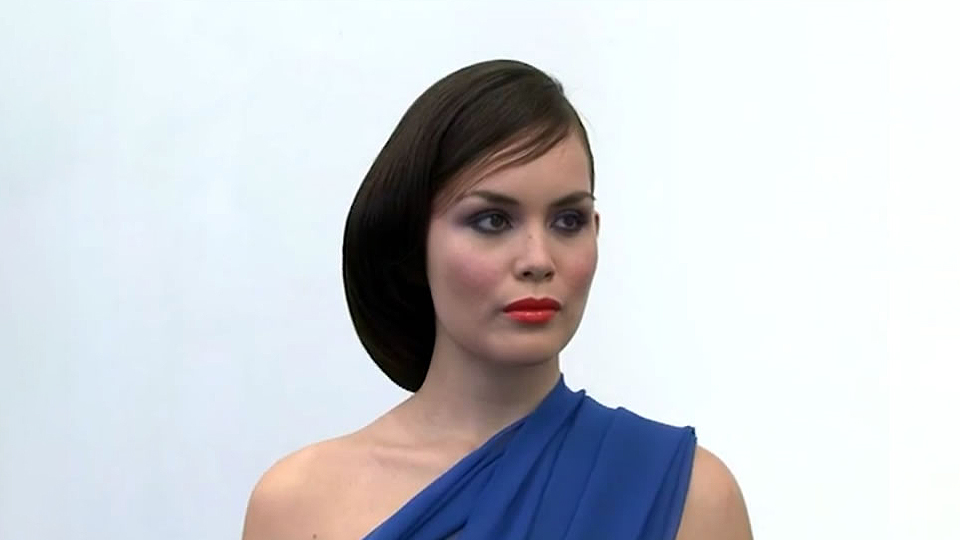 Elegant Asymmetric Chignon