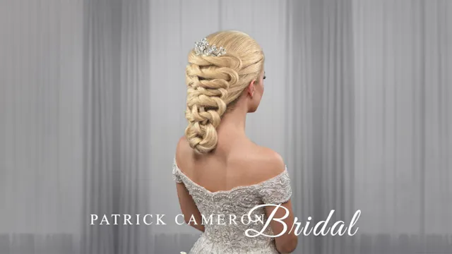 Access Long Hair - Live, Braided Brid...