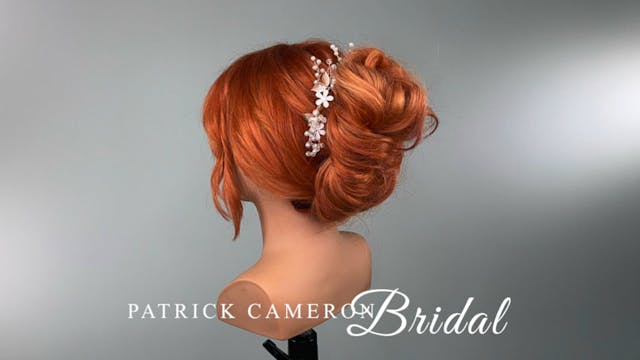 Access Long Hair - Criss Cross Bridal...