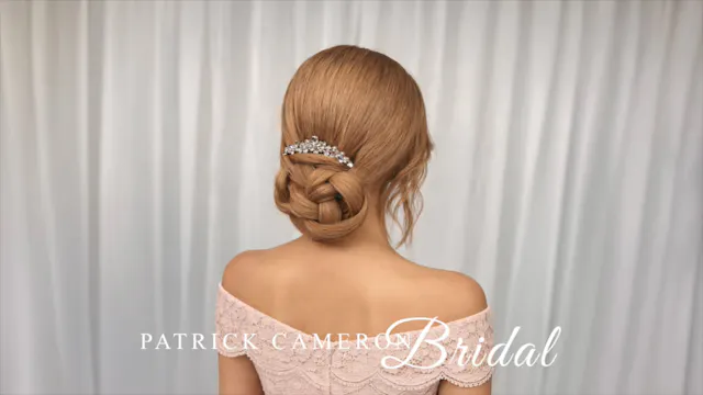 Access Long Hair Live, Low Braided Ch...