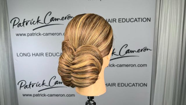 Criss-Cross Chignon