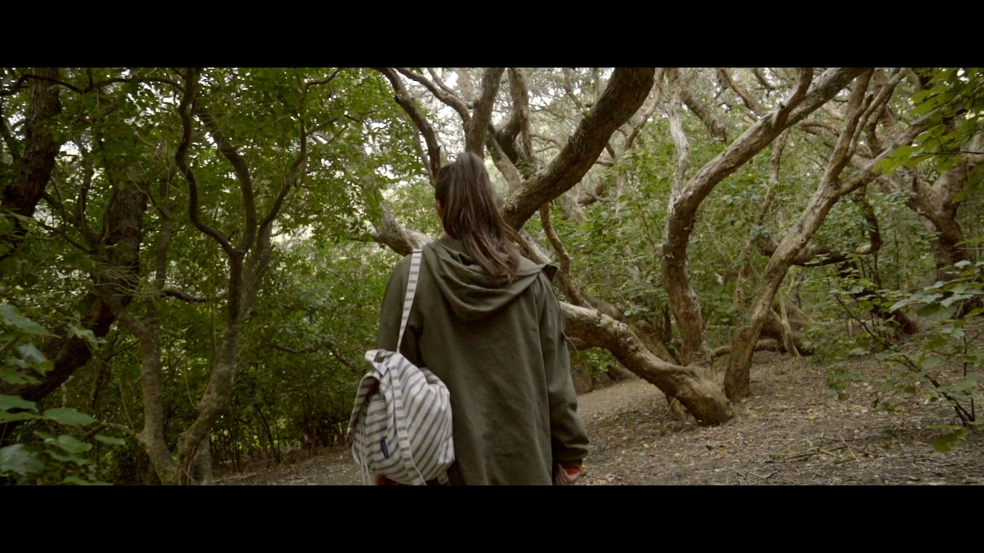 089. Mastering Your Mountain Pt.1