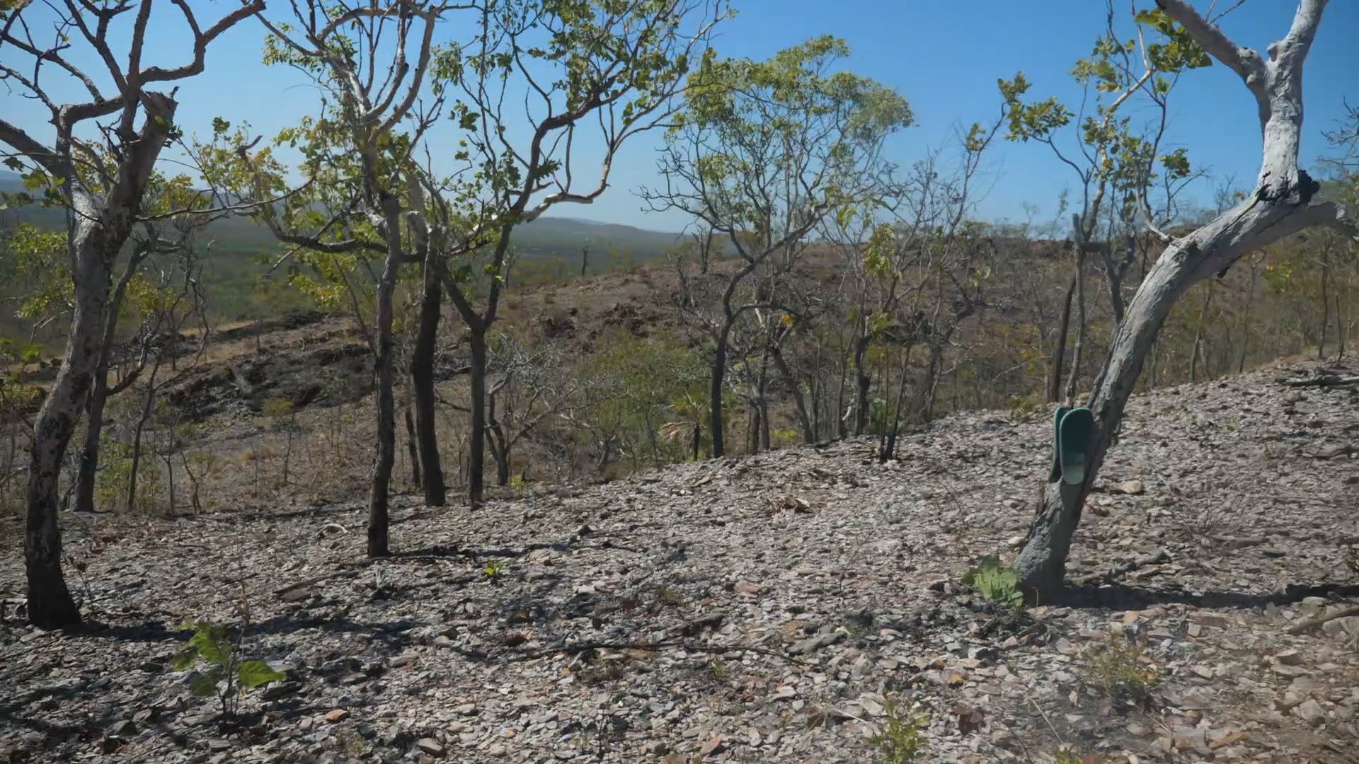 05. The Gift of Friendship