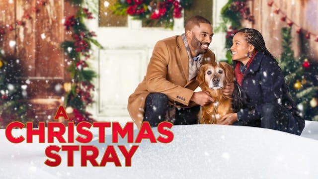 A Christmas Stray - Coming Soon