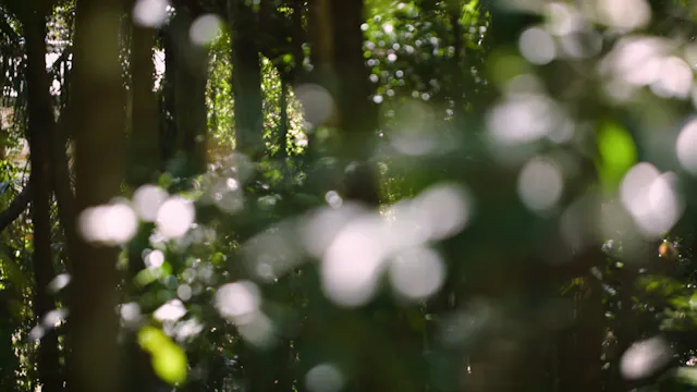 Nathan & Louise's Story