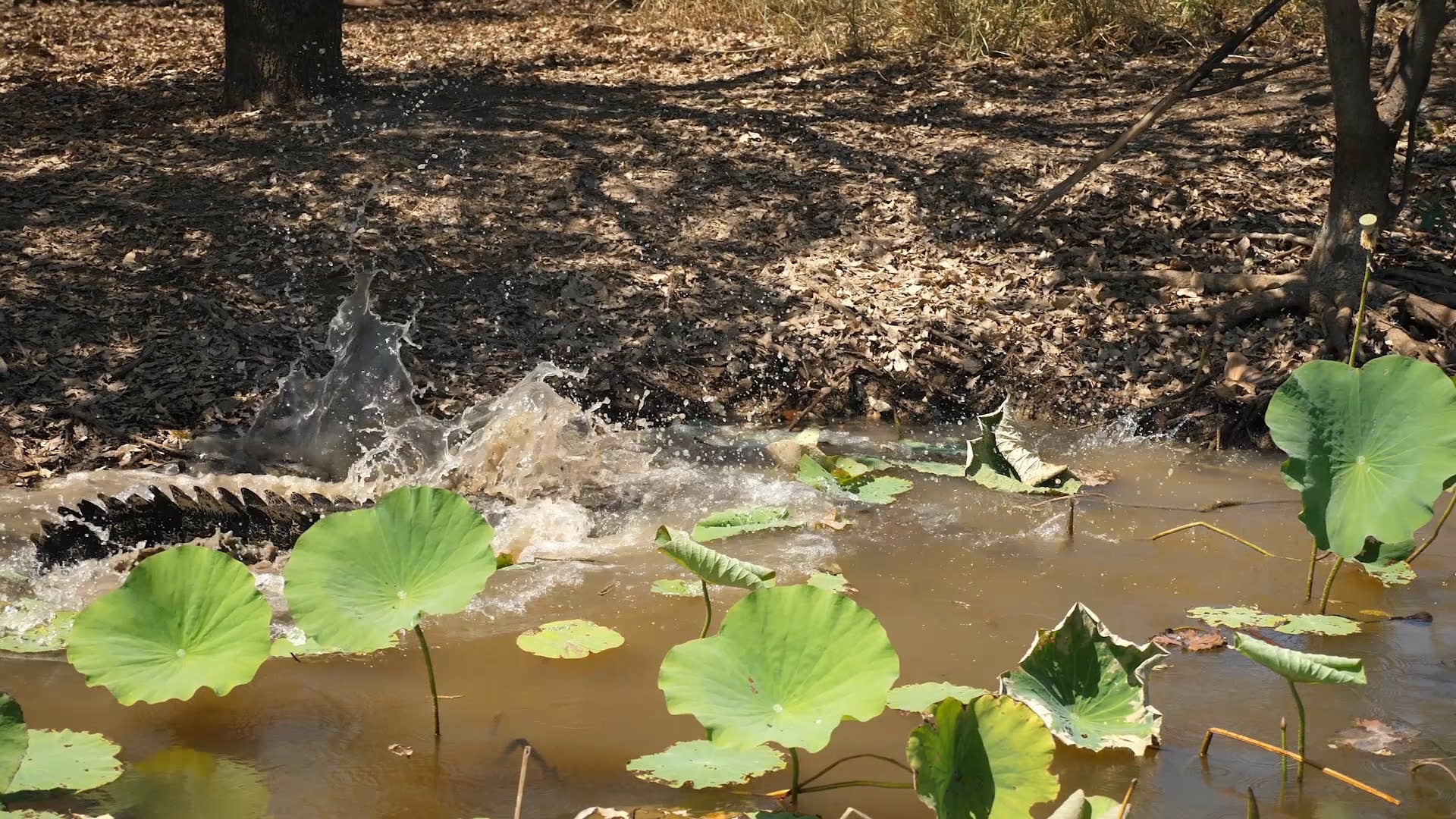 07. A Seat At The Kings Table