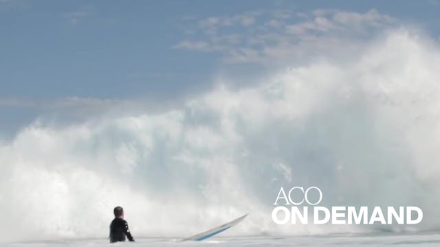 The Reef (excerpt) | Australian Chamb...