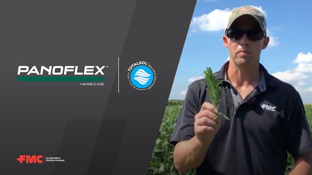Add Flexibility to Your Burndown Program With FMC's Panoflex® Herbicide