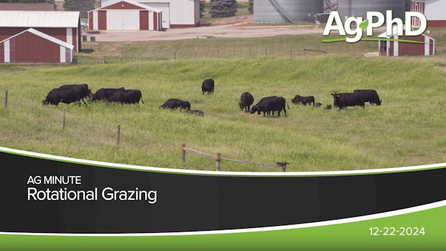 Rotational Grazing | Ag PhD