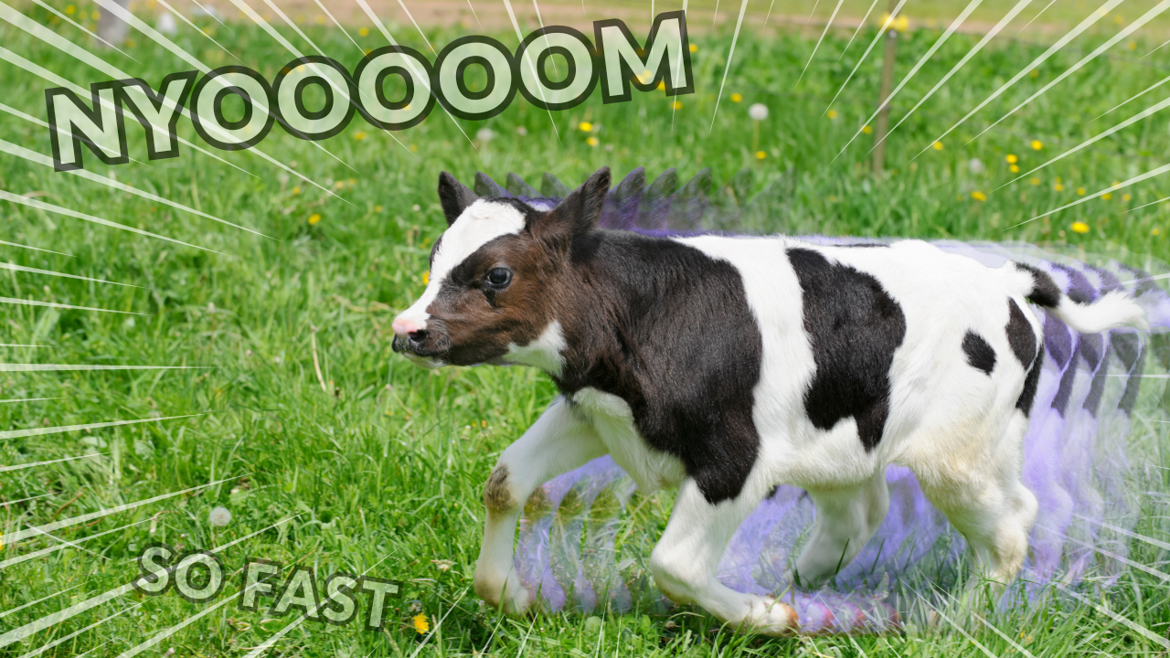 Beef Genetics for Dairy? | WAG in Focus 03-18-25