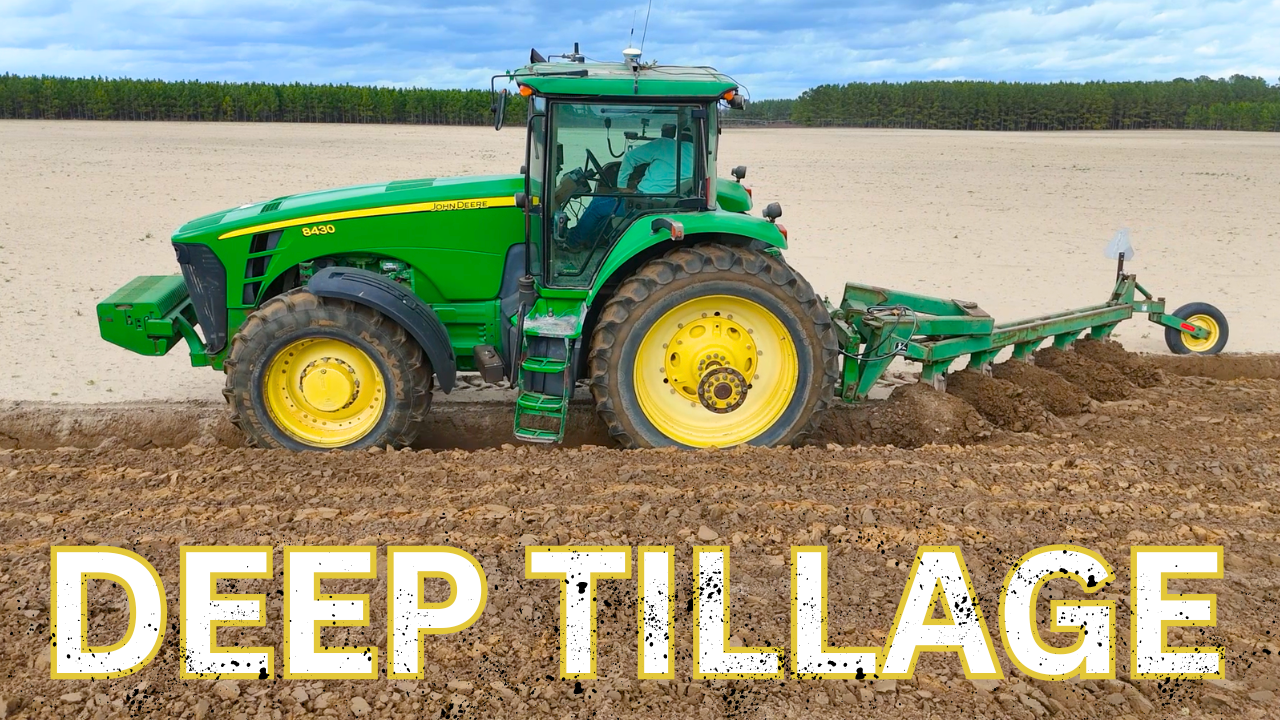 No-Till Farmers Will HATE This Video | Field Rows