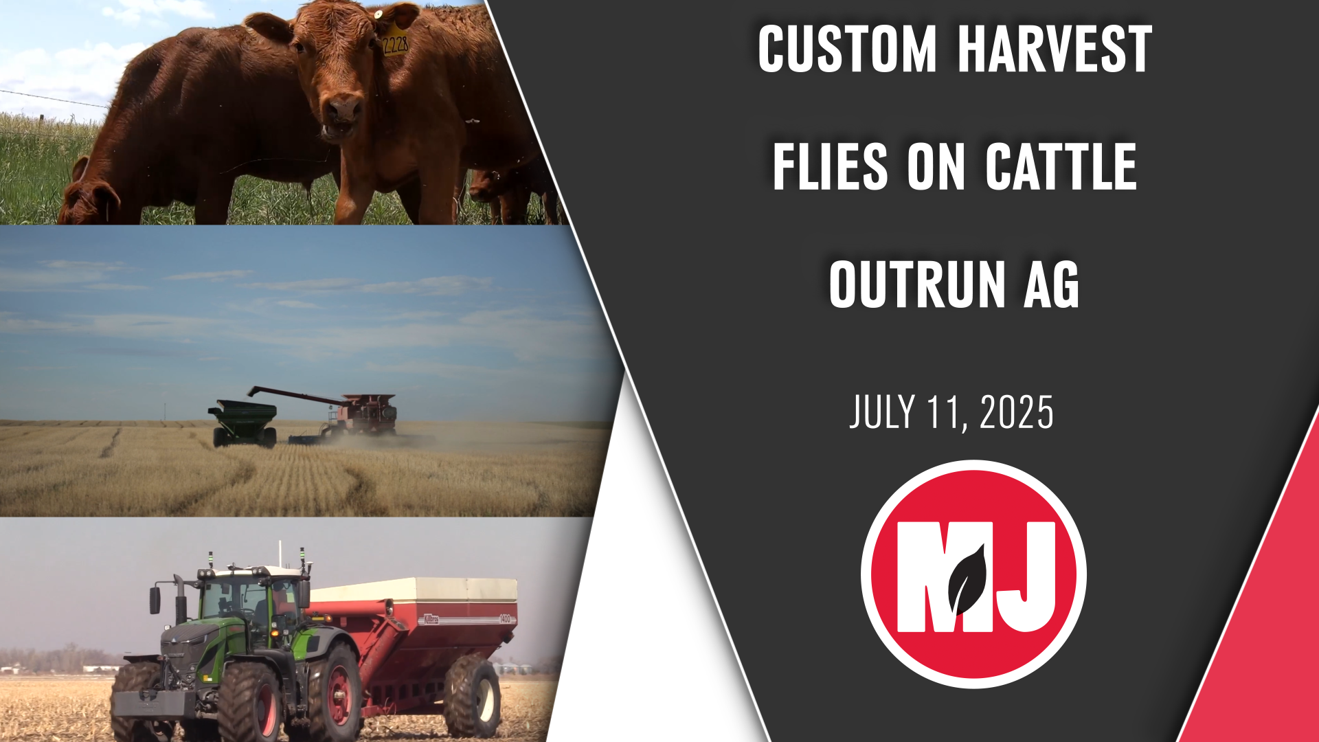 July 11, 2025 | Market Journal