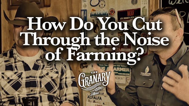 How Do You Cut Through the Noise of F...