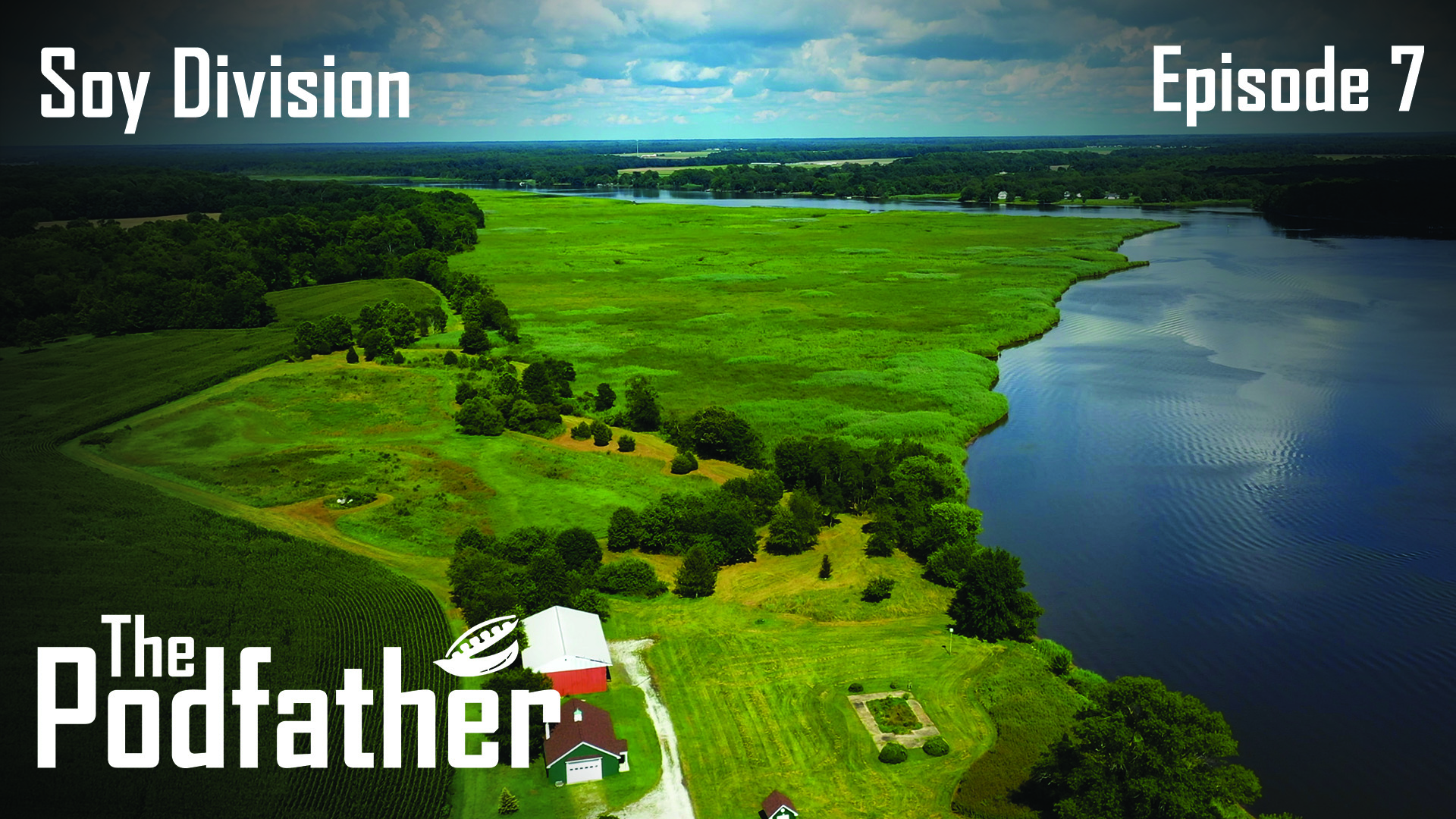 The Podfather | 107 | Soy Division