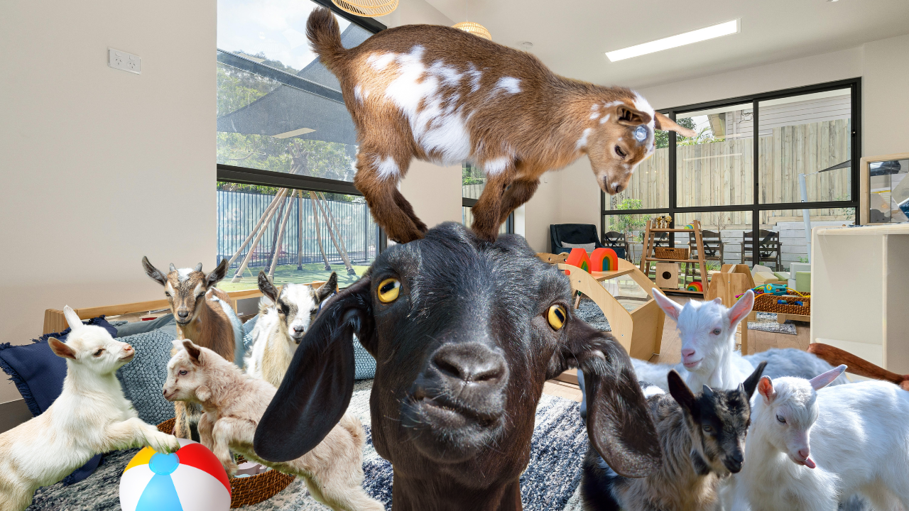 Kids Do the News | WAG in Focus 04-29-25